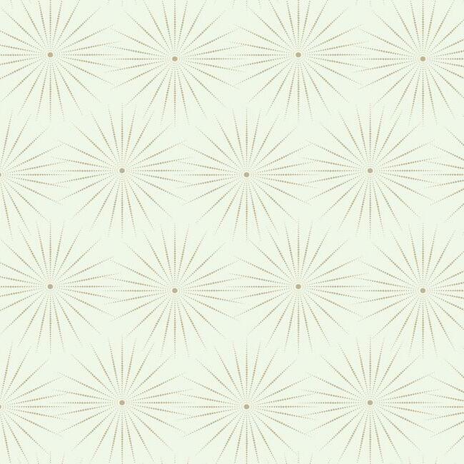 York Wallcoverings BO6692 Starlight White/Silver Wallpaper