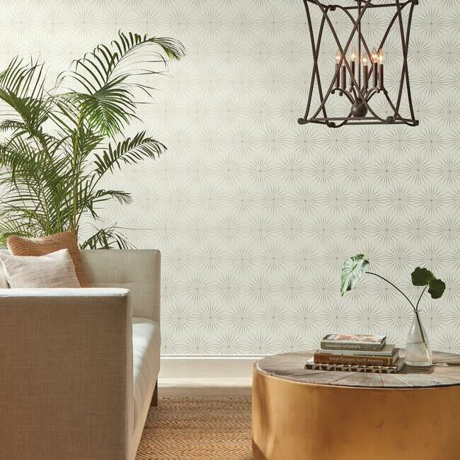 York Wallcoverings BO6692 Starlight White/Silver Wallpaper