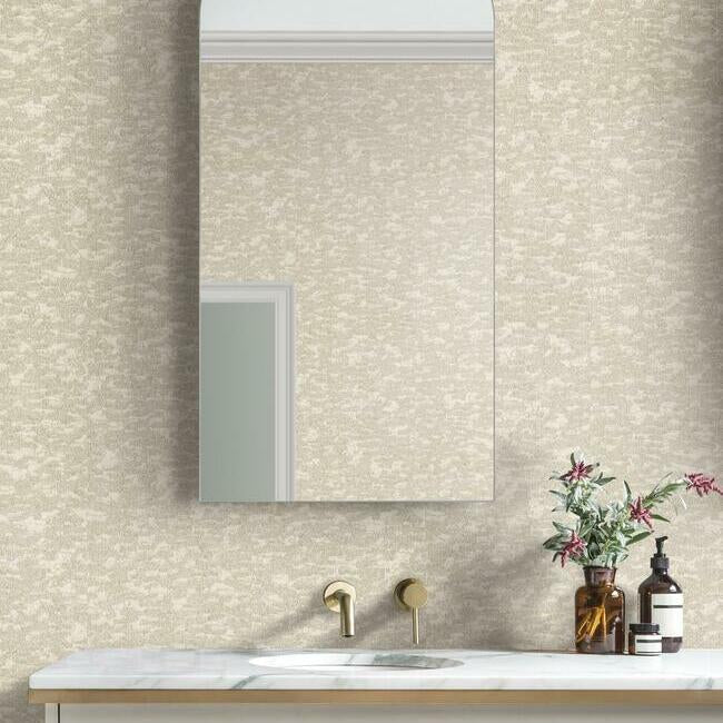 York Wallcoverings DD3754 Weathered Cypress White Wallpaper