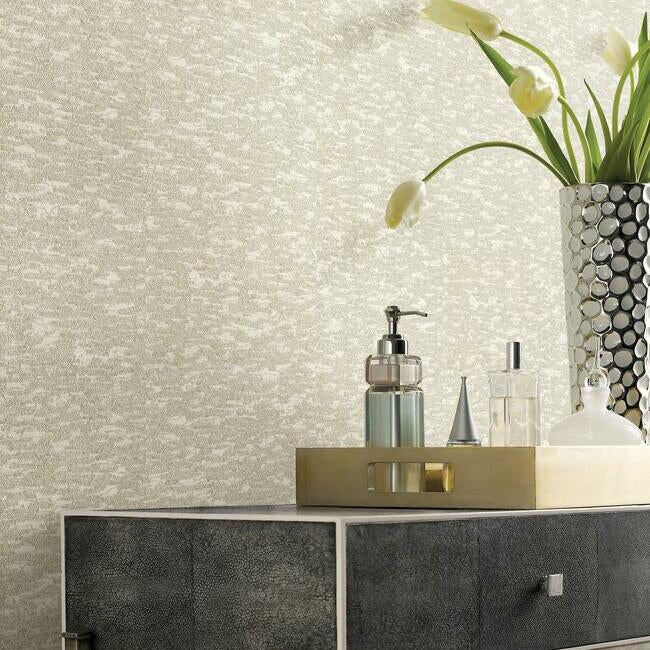 York Wallcoverings DD3754 Weathered Cypress White Wallpaper