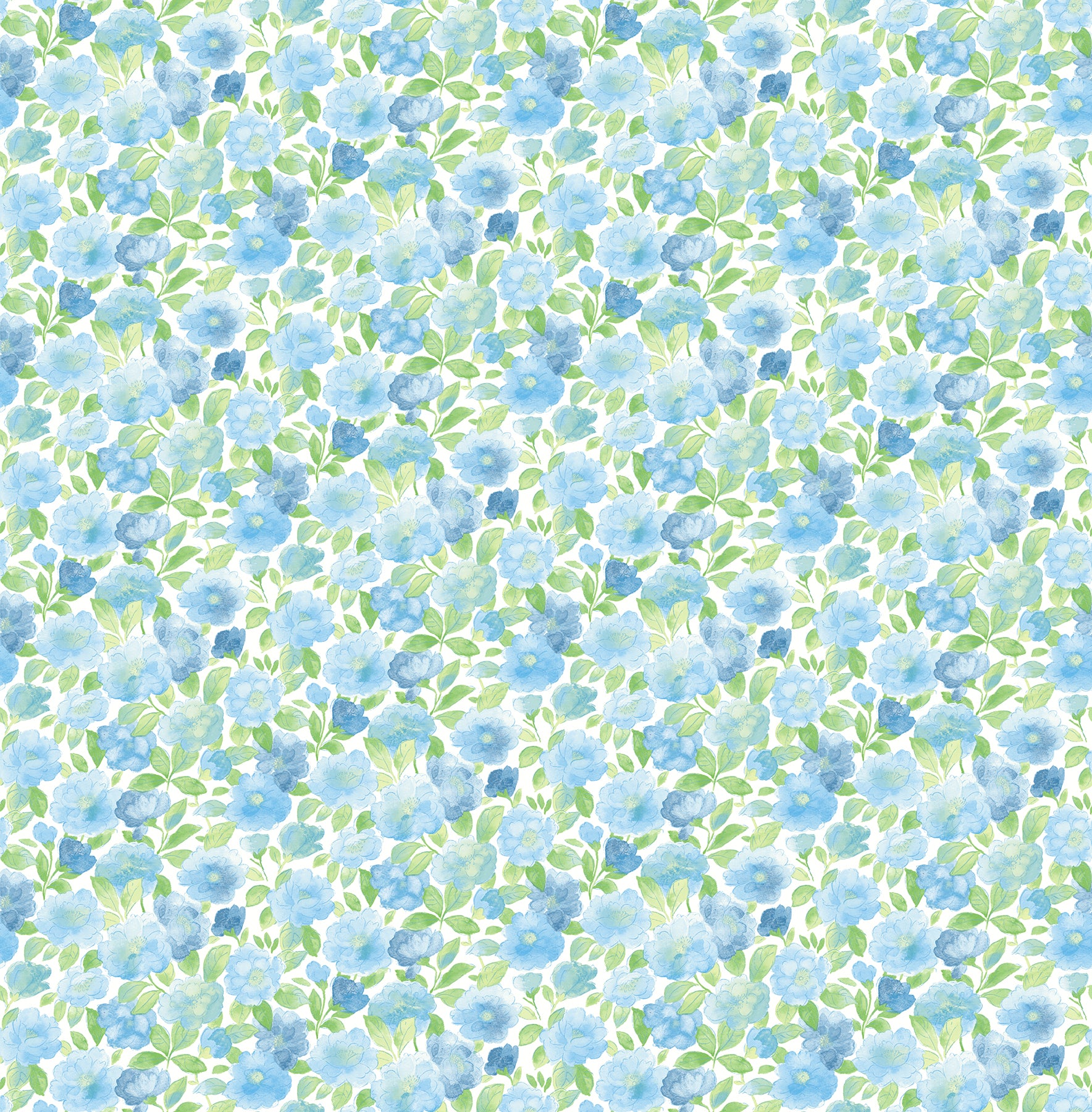 A-Street Prints 2657-22215 Elsie Sky Blue Floral