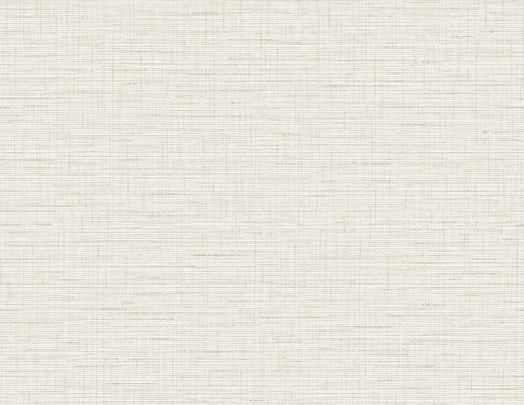 A-Street Prints 2988-71003 Salamander Eggshell Woven Wallpaper
