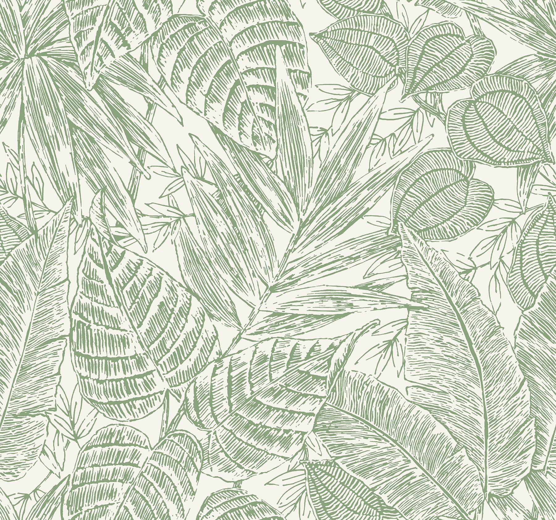 A-Street Prints 4034-72116 Brentwood Green Palm Leaves Wallpaper