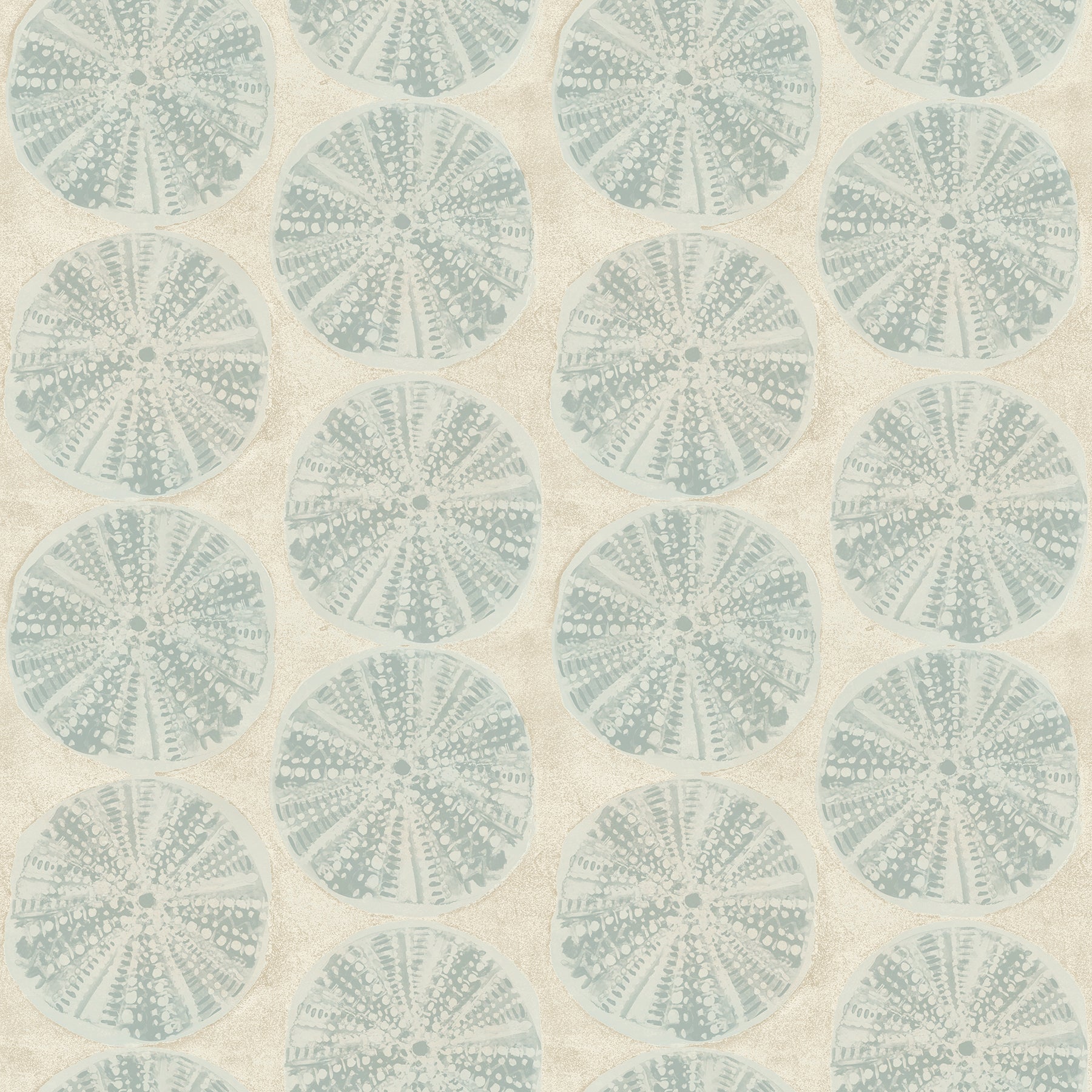 Chesapeake 4071-71028 Sea Biscuit Aqua Sand Dollar Wallpaper