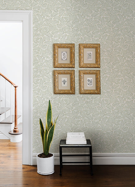 Chesapeake 4148-27444 Chrysantha Sage Berry Branches Wallpaper