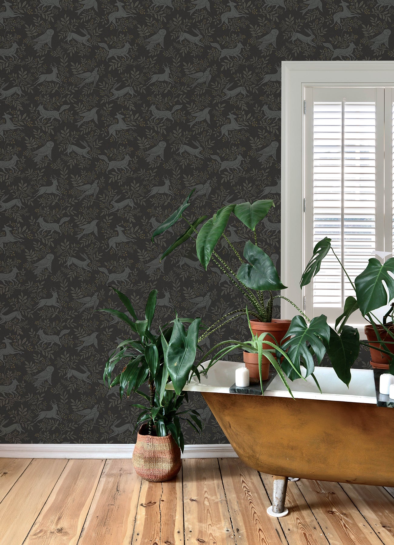 Chesapeake 4169-83114 Revelry Black Forest Frolic Wallpaper