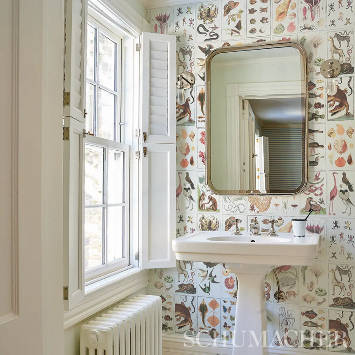 Schumacher 5012090 Bauhin Document Multi Wallpaper