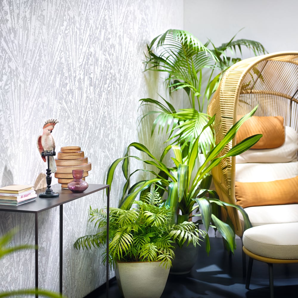 Galerie Wallcoverings 91935 Fan Palm White Wallpaper