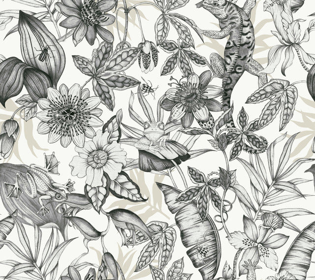 York Wallcoverings BL1703 White & Charcoal Rainforest Wallpaper
