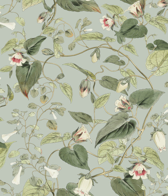 York Wallcoverings BL1712 Dove Moon Flower Wallpaper