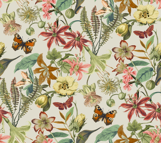 York Wallcoverings BL1724 Light Taupe & Coral Butterfly House Wallpaper
