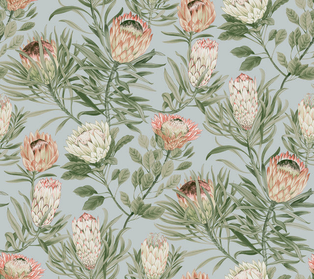York Wallcoverings BL1755 Dusty Blue & Coral Protea Wallpaper