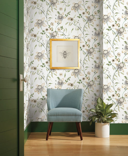 York Wallcoverings BL1793 White & Green Dream Blossom Wallpaper