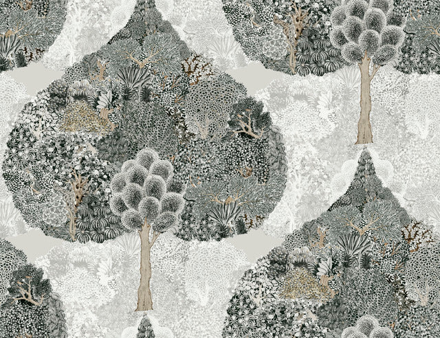 York Wallcoverings BO6703 Mystic Forest Black Wallpaper