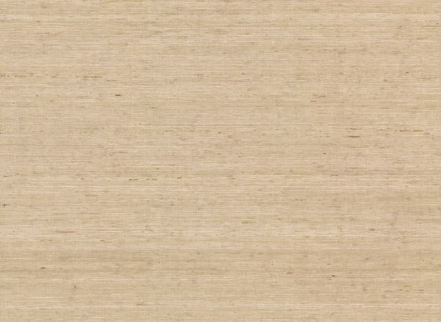 York Wallcoverings CV4401 Arrowroot Cream Wallpaper