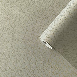 Galerie Wallcoverings DWP0232-02 Webbing Beige Wallpaper