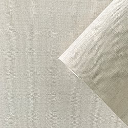 Galerie Wallcoverings F-FG6001 Plain Texture Cream Wallpaper