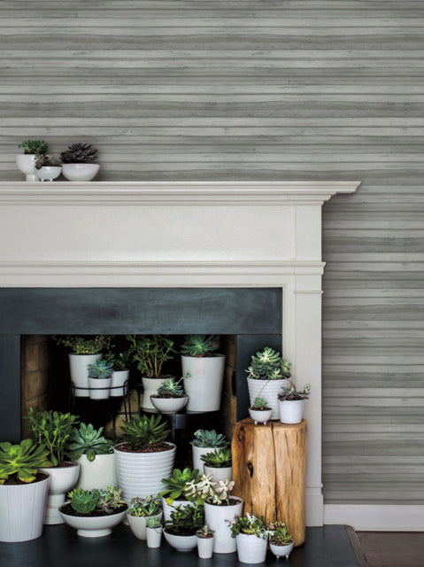 York Wallcoverings GO8264 Pandora Leaf Black Wallpaper