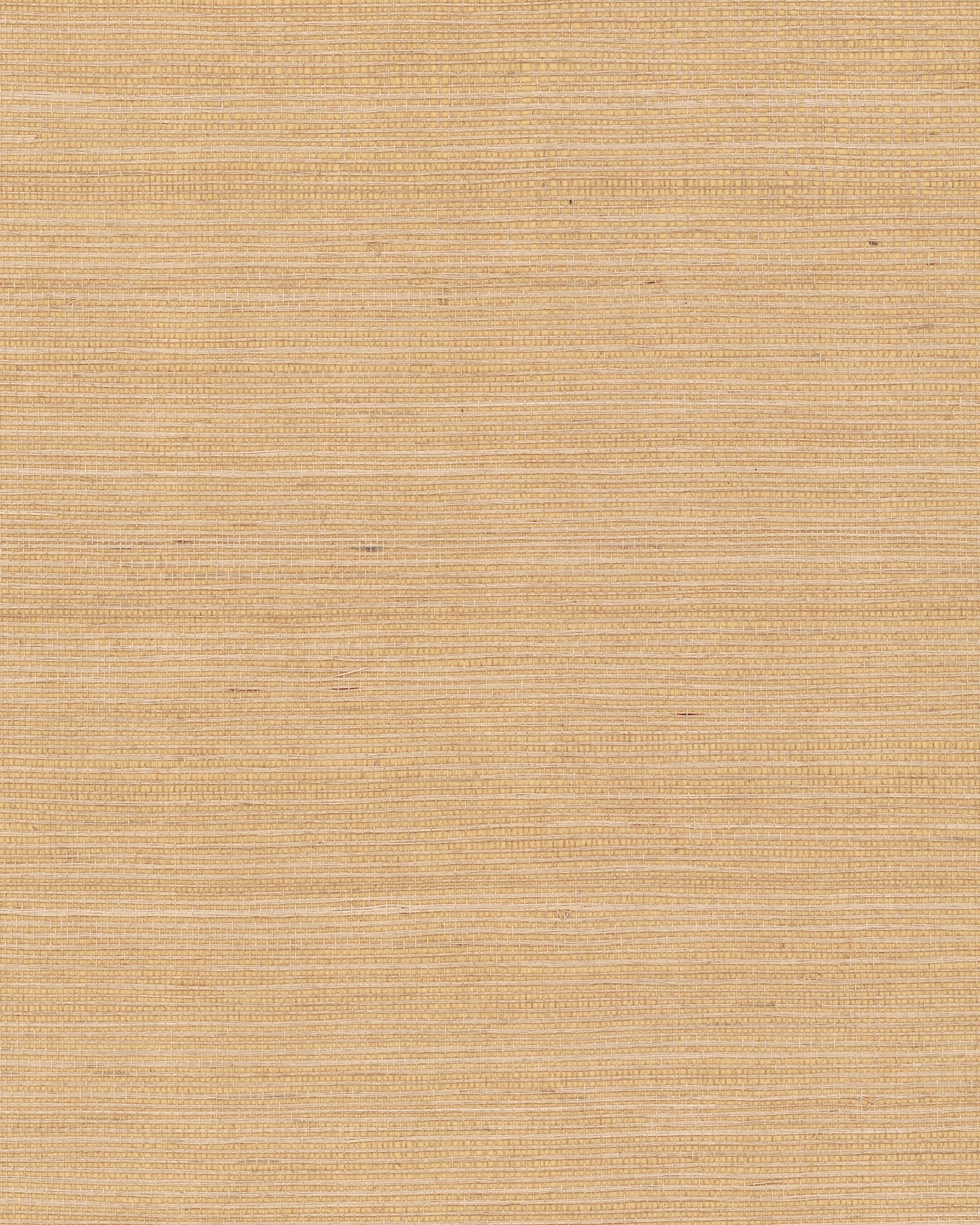 York Wallcoverings GV0103NW Maguey Sisal Biscotti Wallpaper
