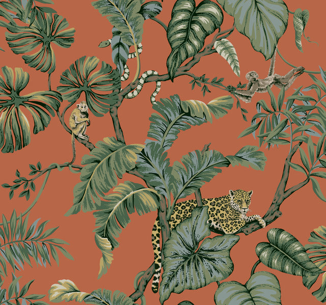 york Wallcoverings HO2142 Jungle Cat Orange Wallpaper