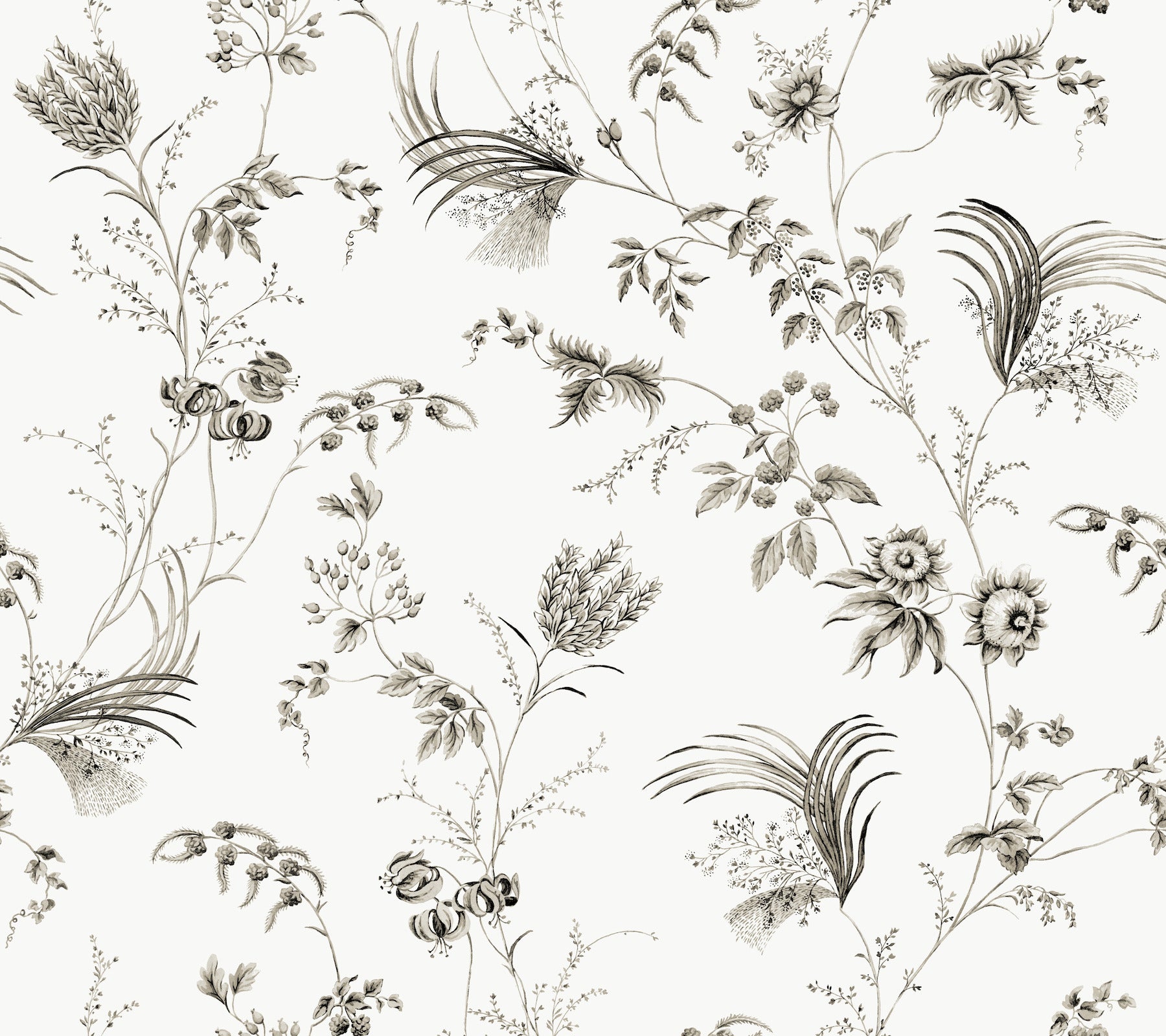 York Wallcoverings MX9682 Floral Lace Black Wallpaper