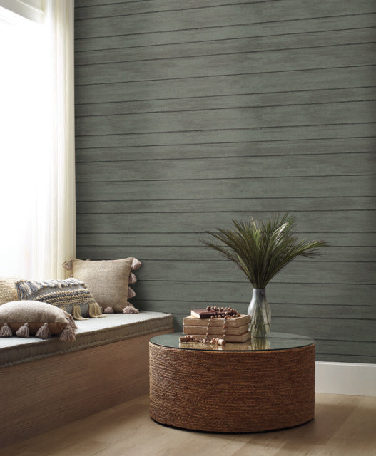 York Wallcoverings ND3055N Black Broad Side Wallpaper