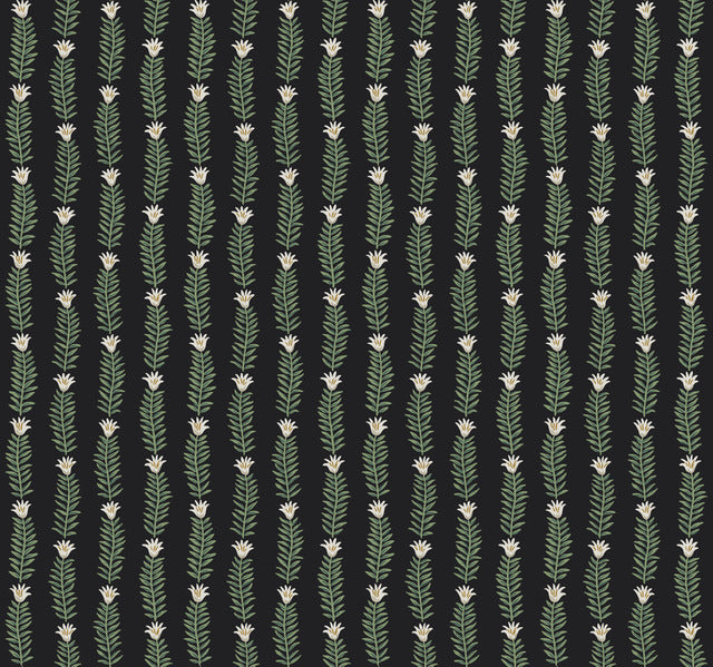 York Wallcoverings RP7344 Eden Black Wallpaper