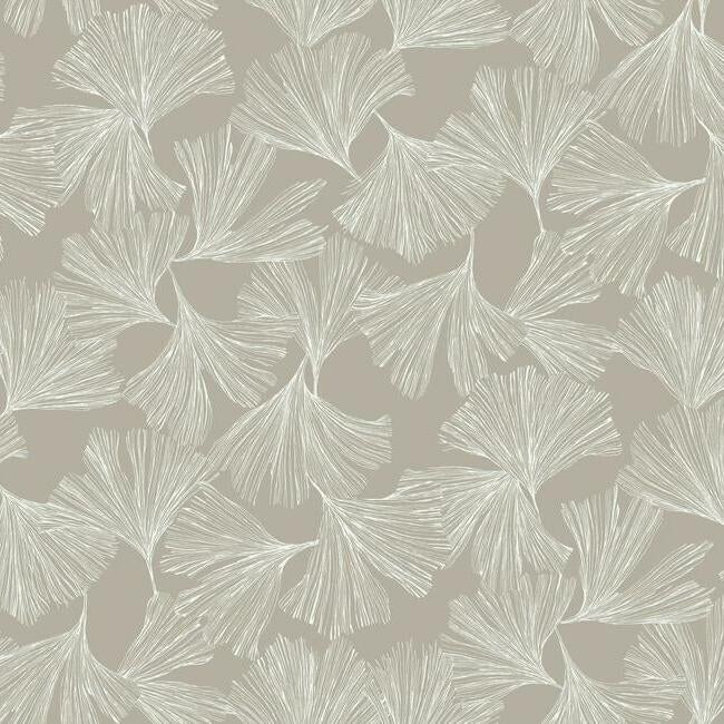 York Wallcoverings DD3746 Ginkgo Toss Silver Wallpaper