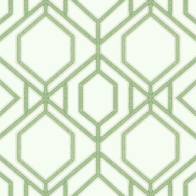 York Wallcoverings TC2631 Green Sawgrass Trellis Green Wallpaper